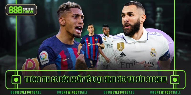 Kèo Tài Xỉu 888NEW - Hướng Dẫn Cách Đọc Trong Cá Độ Bóng Đá 1 Thông tin cơ bản nhất về loại hình kèo Tài Xỉu 888NEW